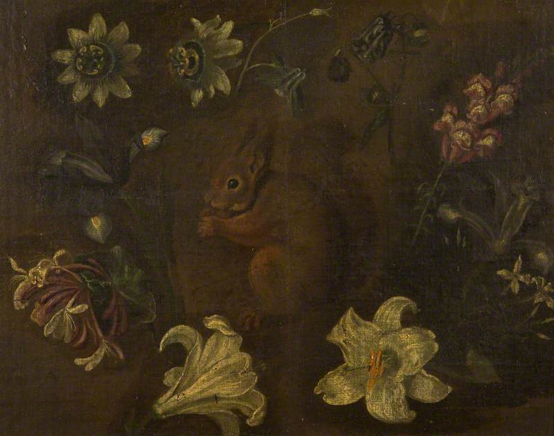 A Squirrel amongst Flowers