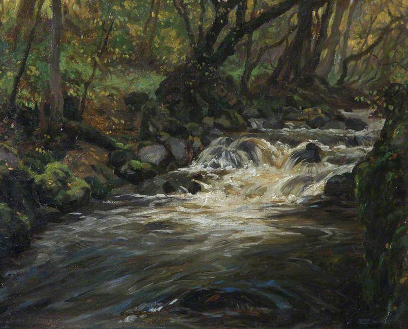 A Perthshire Stream