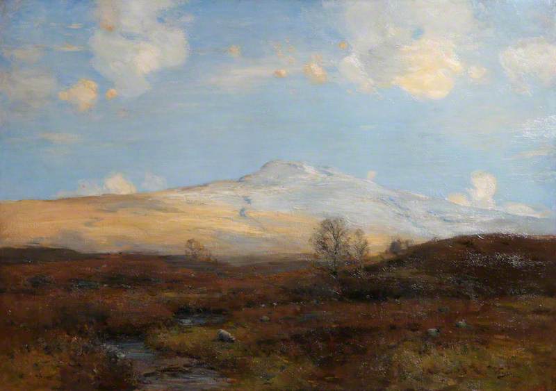 A Perthshire Moorland