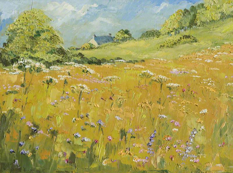 Summer Meadow