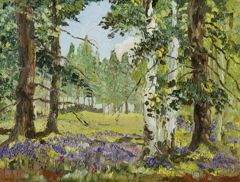 Perthshire Wood in Spring