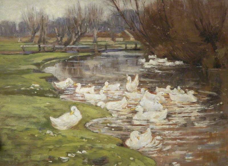 Pond with Ducks