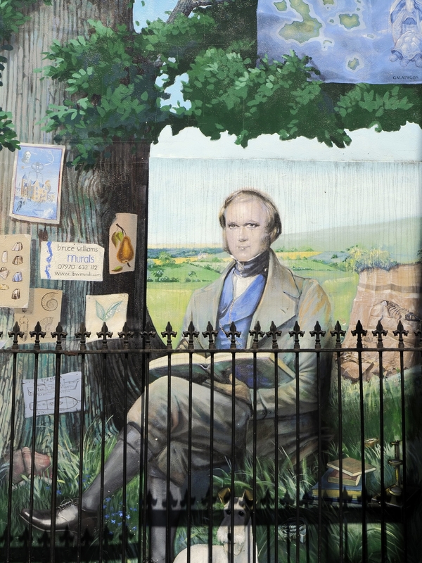 Darwin Mural