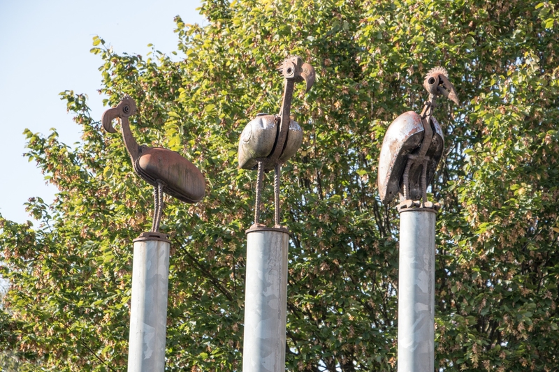 The Greater Breasted Plunger, the Crested Columbus Plunger, and the Hooked Beaked Bantom