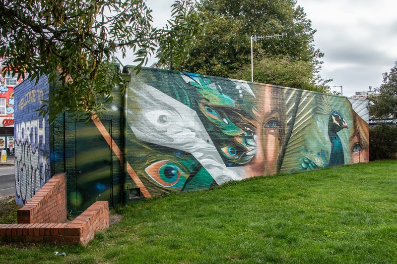 North Street Green Peacock Wall