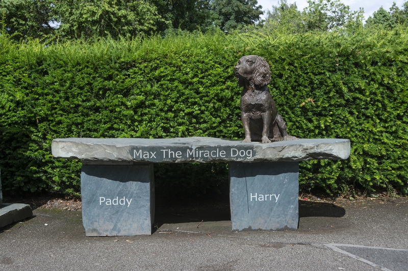 Max the Miracle Dog