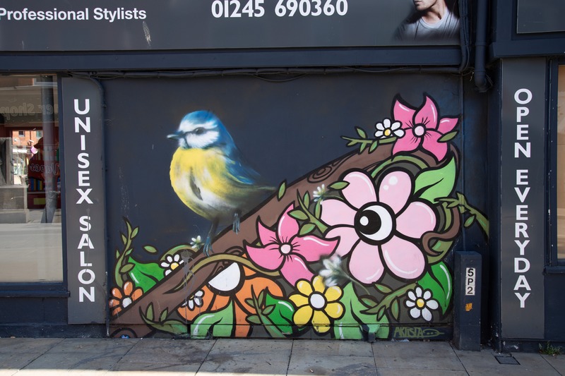 Blue Tit