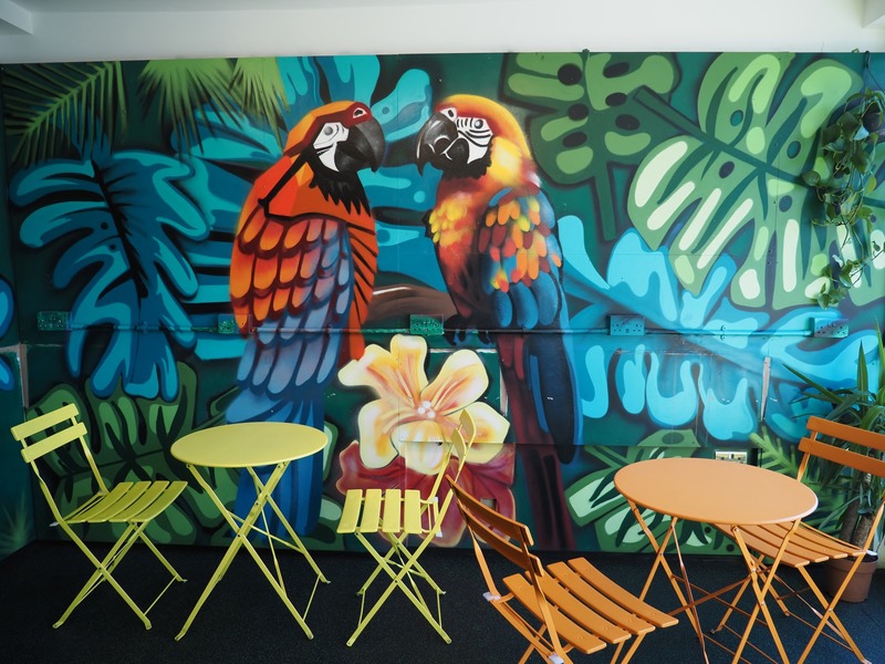 Parrots