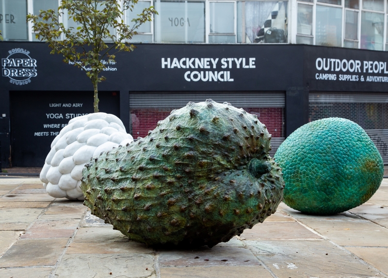 Custard Apple (Annonaceae), Breadfruit (Moraceae), and Soursop (Annonaceae)