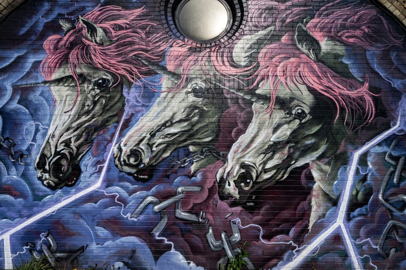 Three Unicorns*