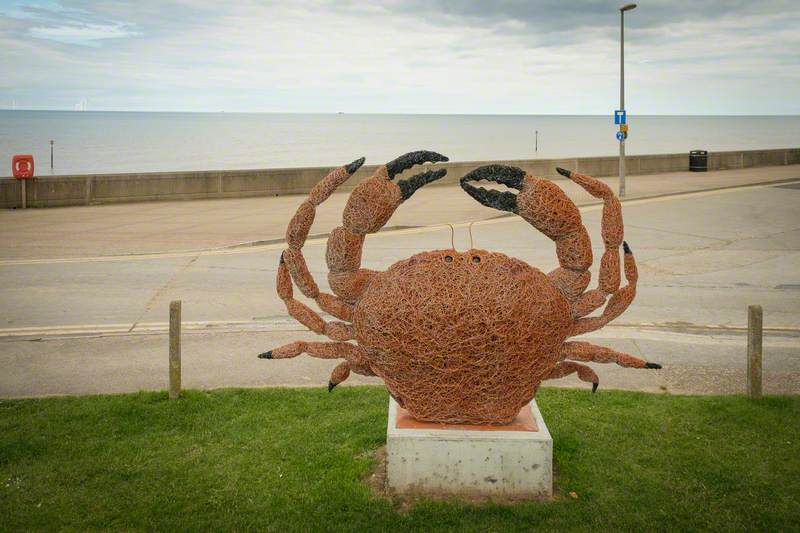 Withernsea Crab