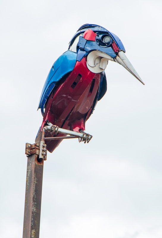 Kingfisher