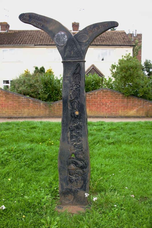 The Fossil Tree Cycle Network 51