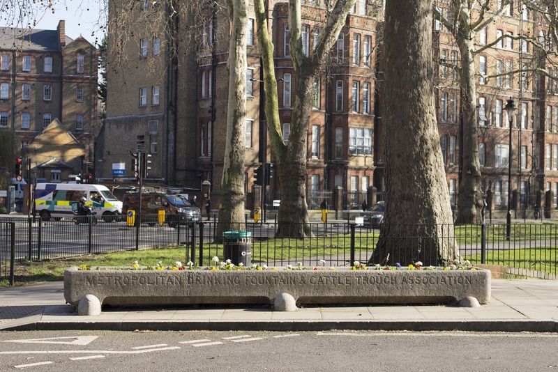 Cattle Trough