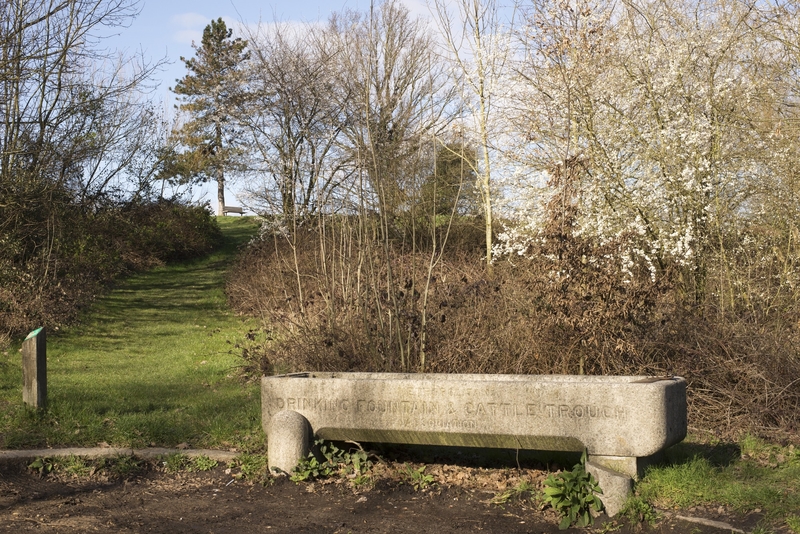 Animal Drinking Trough