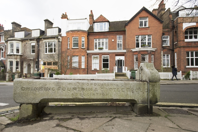 Animal Drinking Trough