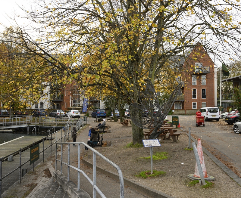 The Canal in the City