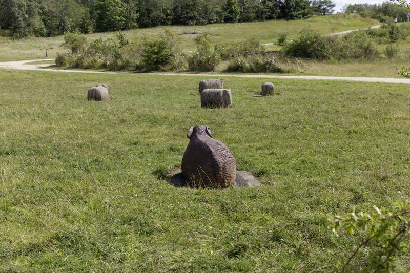 Knitting Sheep