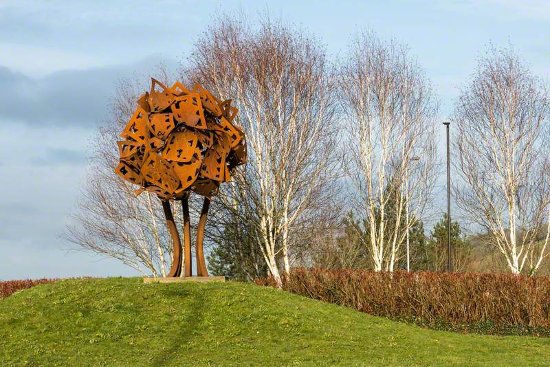 Carmarthen Oak