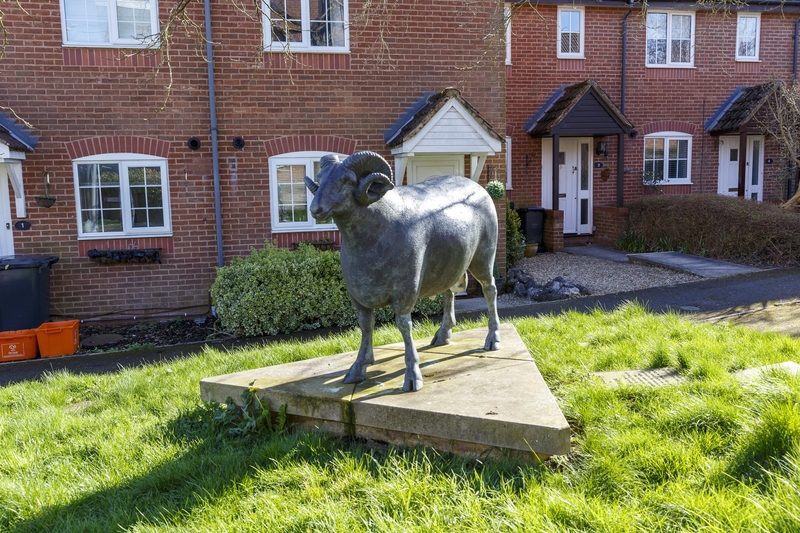 The Old Wiltshire Horn