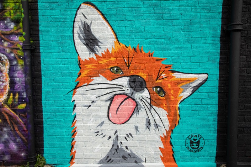 Licky Fox