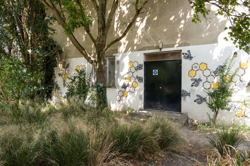 Bees