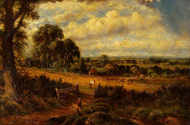 Landscape, Cornfield