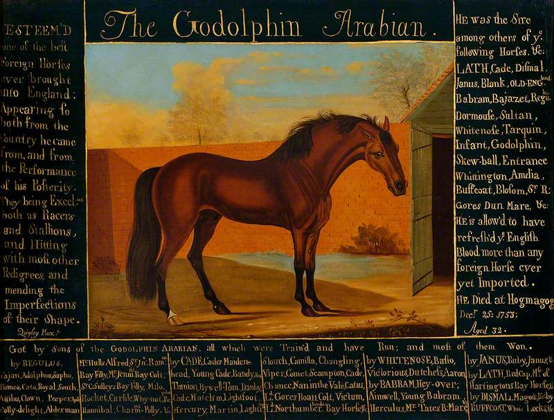 'The Godolphin Arabian'