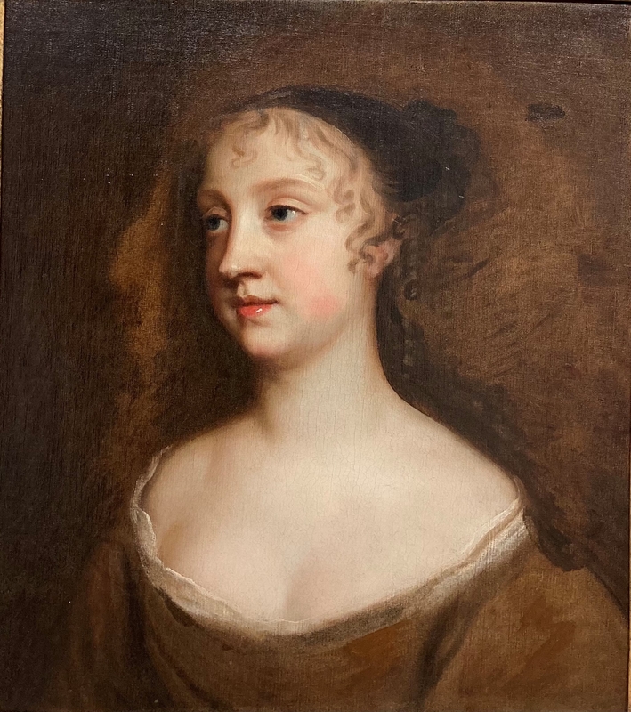 Portrait of a Lady, Half Length, Wearing Décolleté Brown Dress