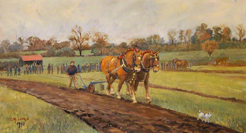 Ploughing Match