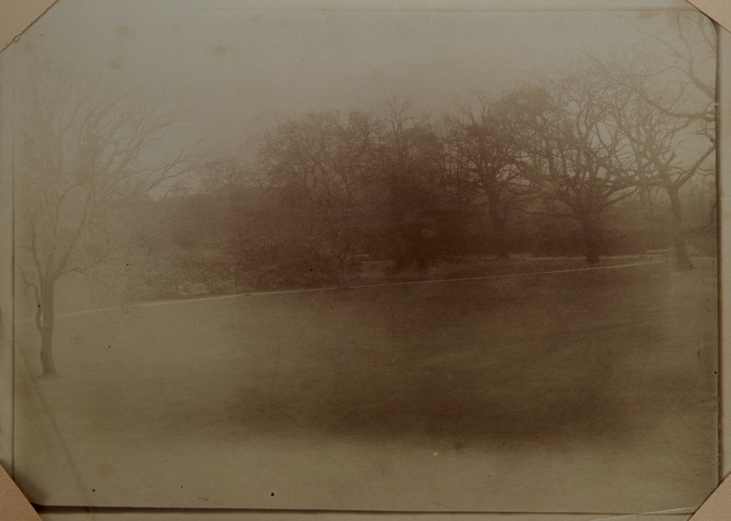 View from the Mineral Room Window, The Ruskin Museum, Meersbrook Park, Sheffield