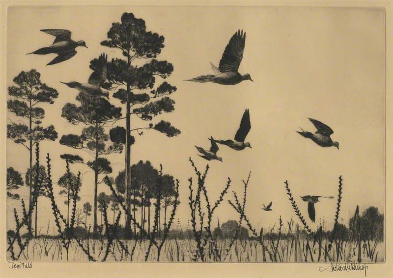 Dove Field