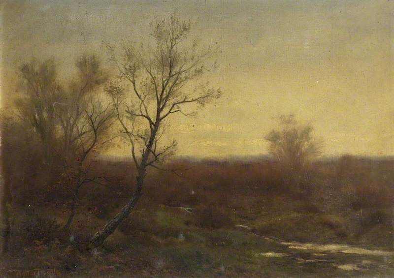 Winter Landscape, Trees and Stream