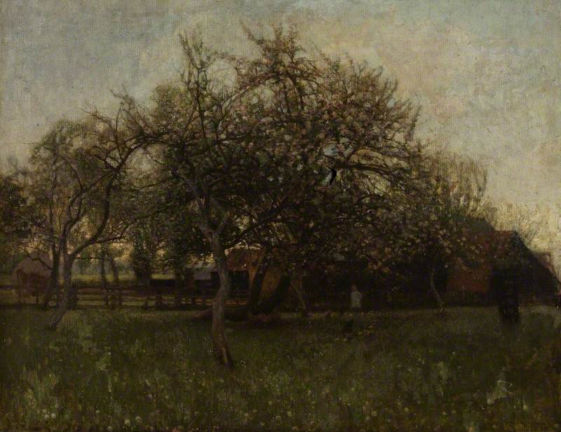 The Orchard