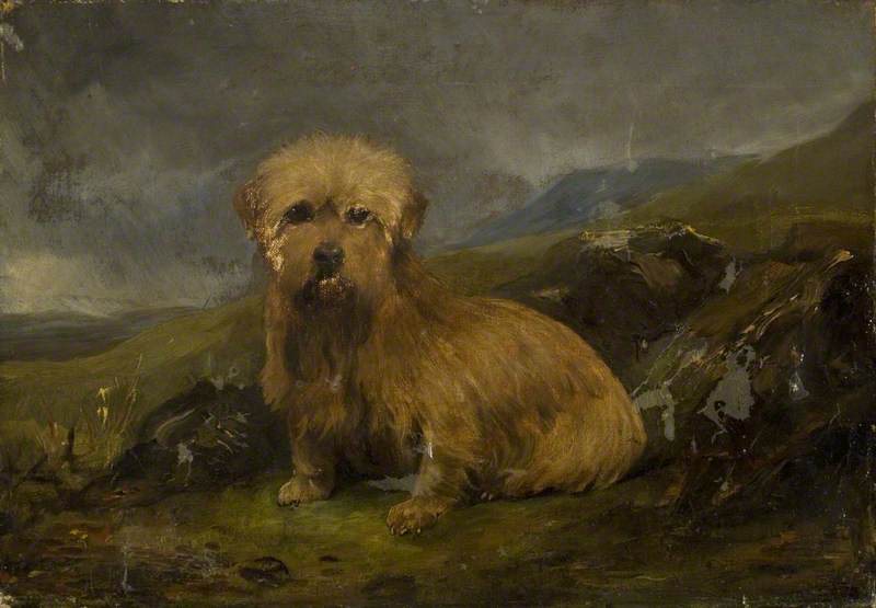 A Skye Terrier