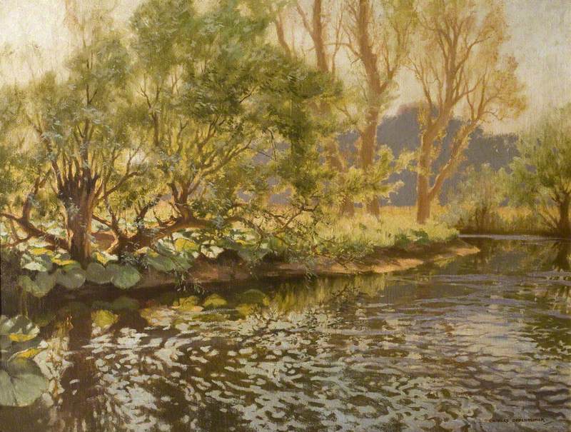 A Sun-Dappled Pool