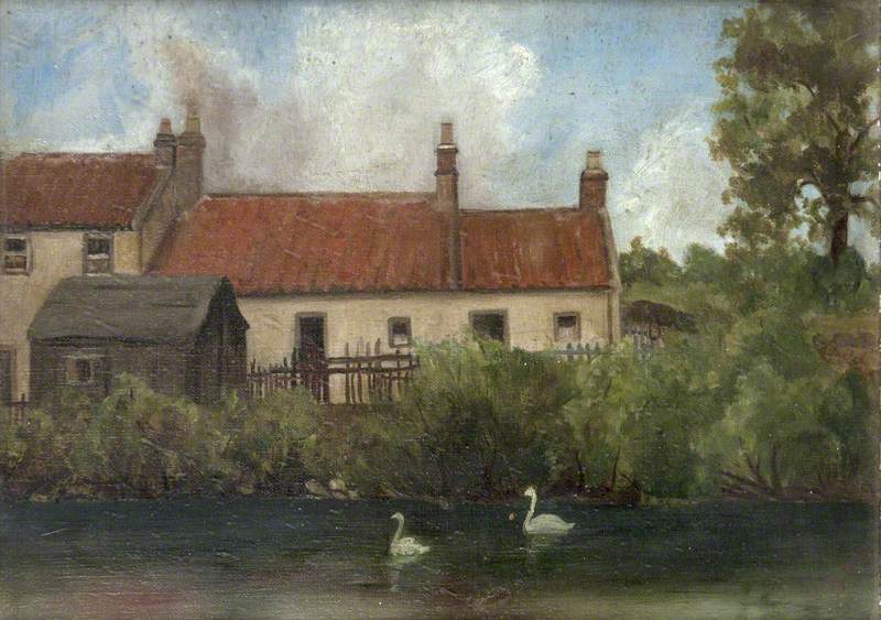 Swans in the Village Stream