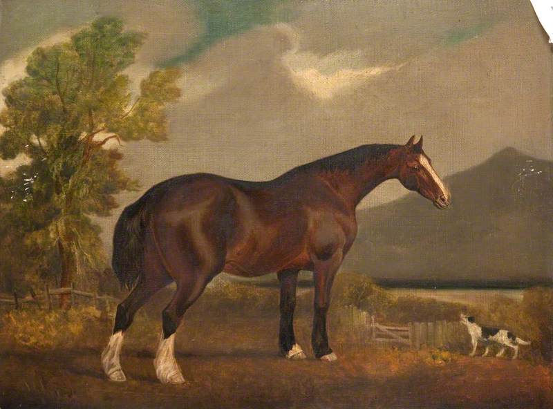 Horse and Dog