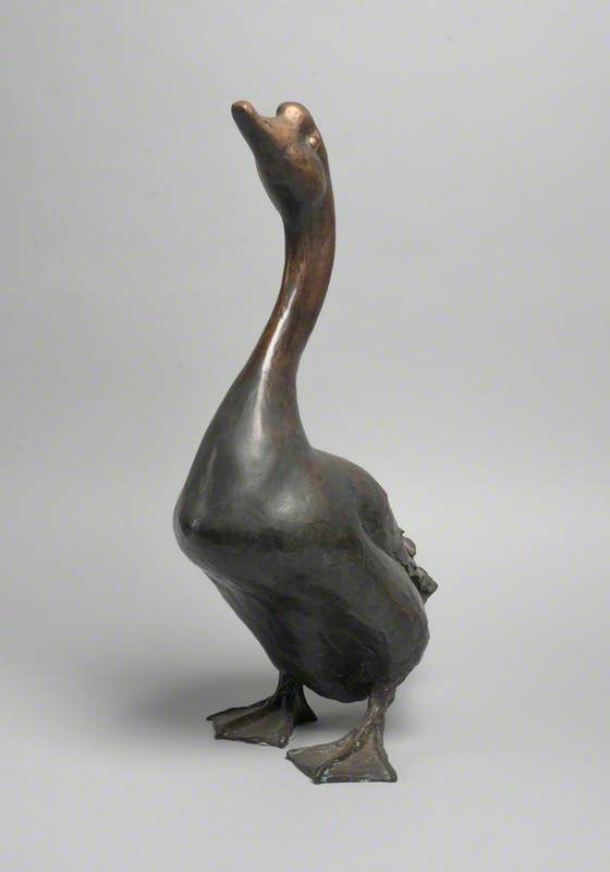 Chinese Gander