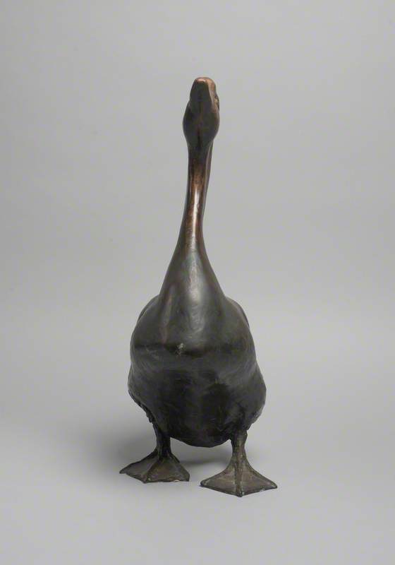 Chinese Gander