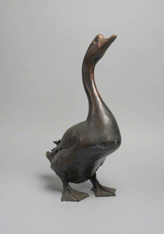Chinese Gander