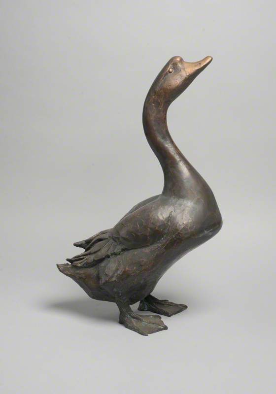 Chinese Gander