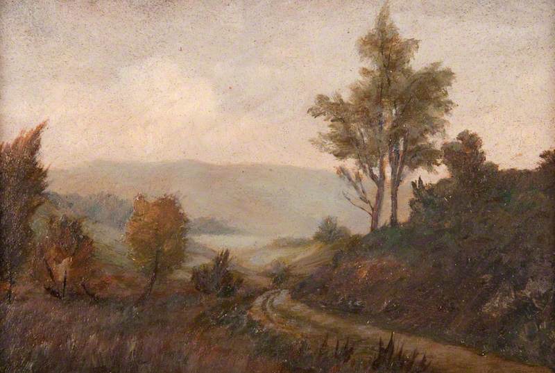 Landscape and Loch Craigallion