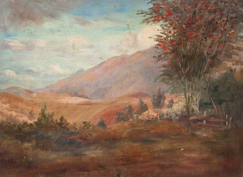 Landscape