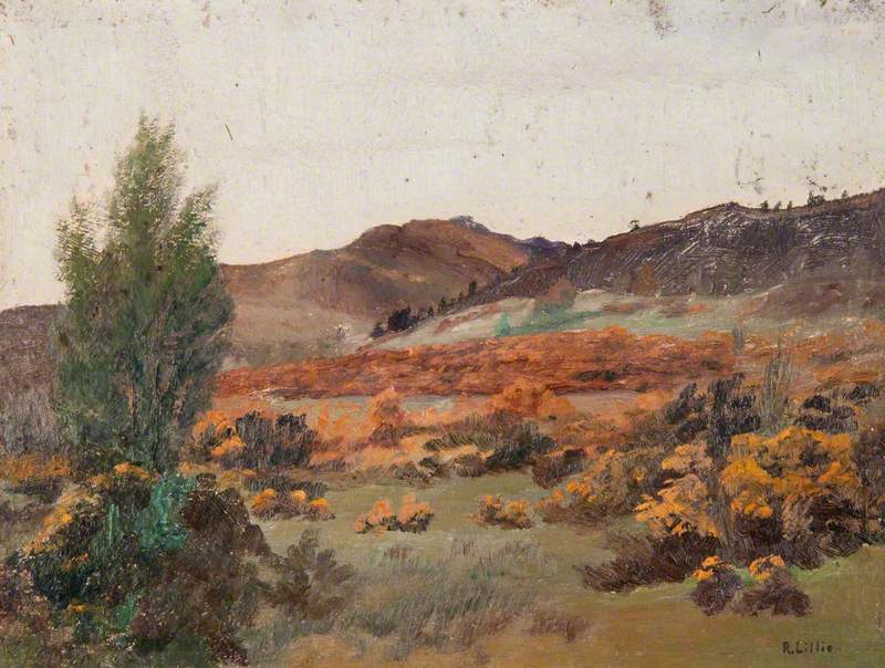 A Hillside at Callander