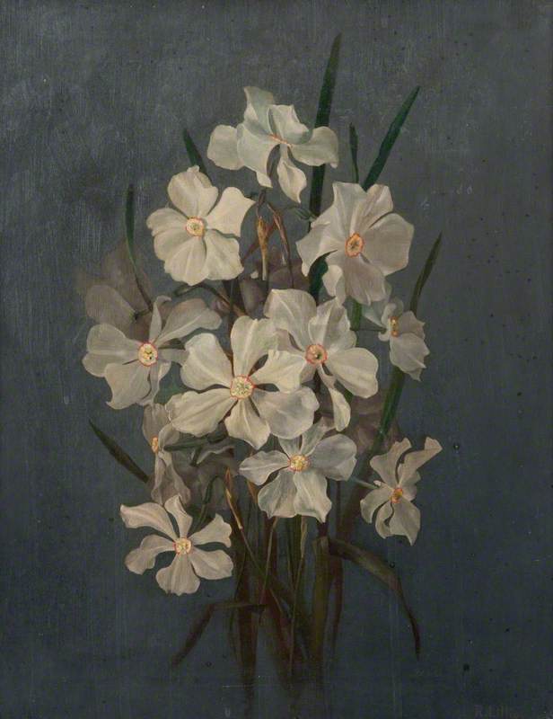 Flower Study, Narcissi