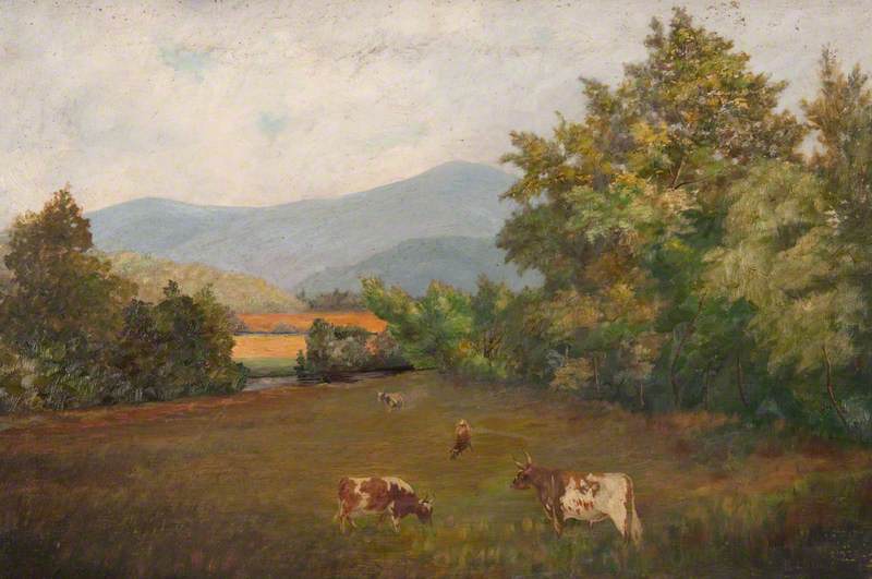At Daldravaig Farm, Tayvallich