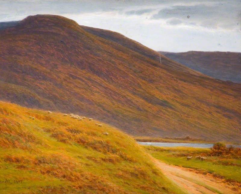 Moorland Landscape