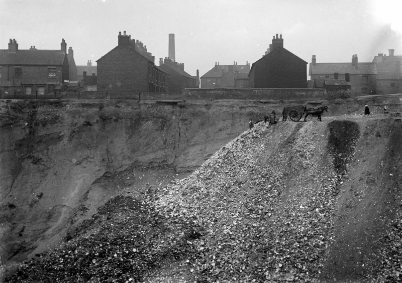 'Edensor' Marl Hole, Longton