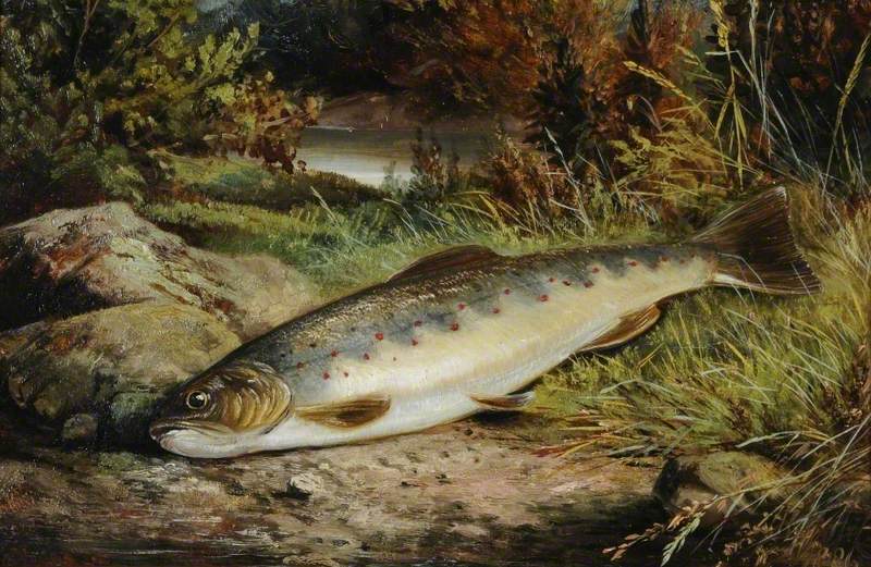 Fish on a Grassy Riverbank